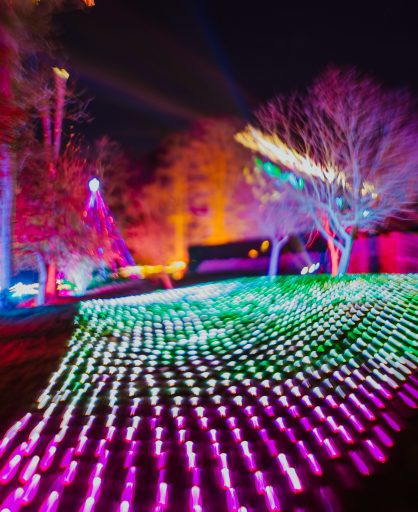 Aurora Fields at Port Lympne Illuminated2
